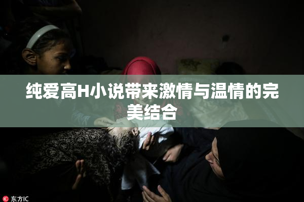纯爱高H小说带来激情与温情的完美结合