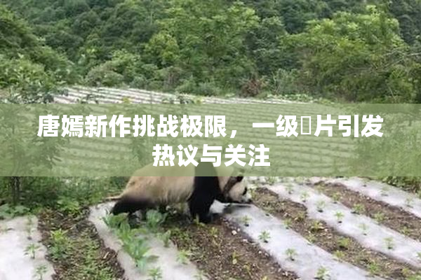 唐嫣新作挑战极限，一级婬片引发热议与关注