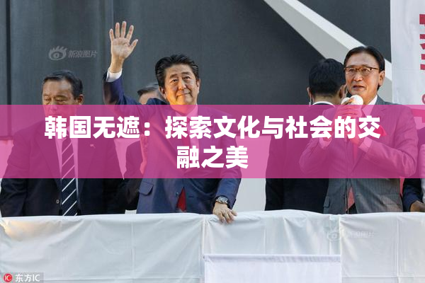 韩国无遮：探索文化与社会的交融之美