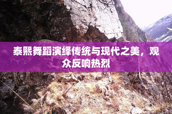 泰熙舞蹈演绎传统与现代之美，观众反响热烈