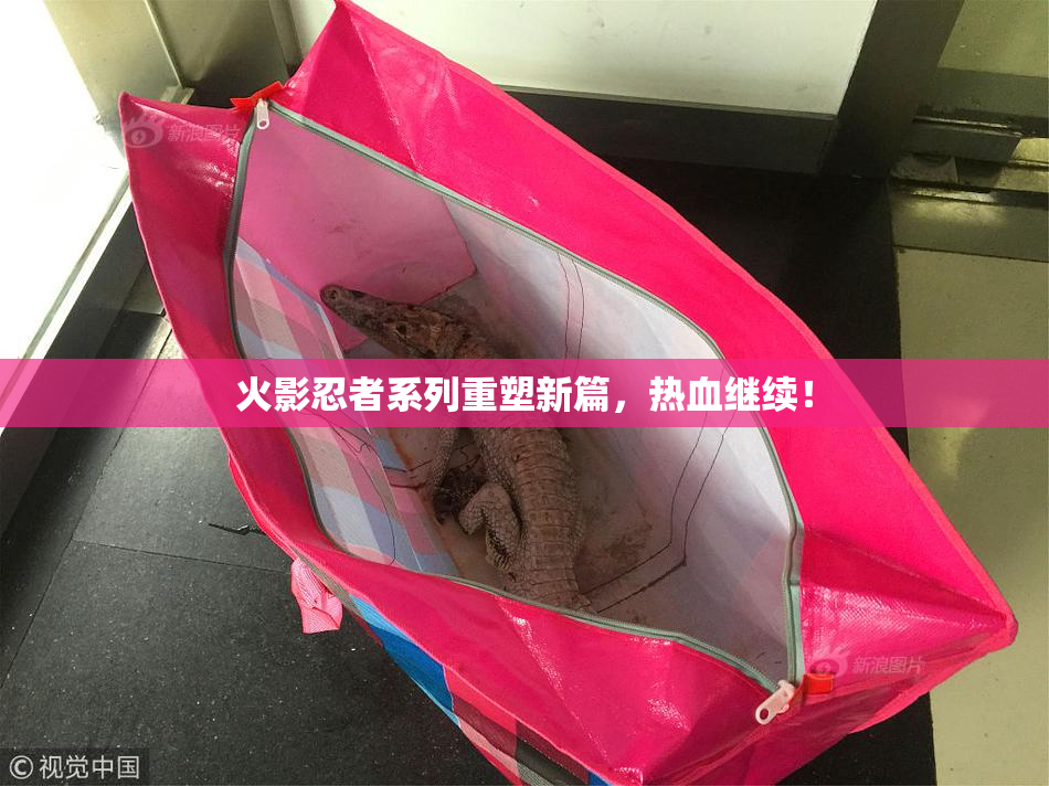 火影忍者系列重塑新篇，热血继续！