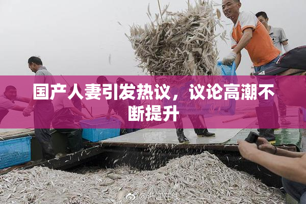 国产人妻引发热议，议论高潮不断提升