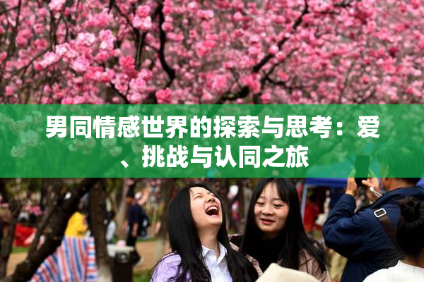 男同情感世界的探索与思考：爱、挑战与认同之旅