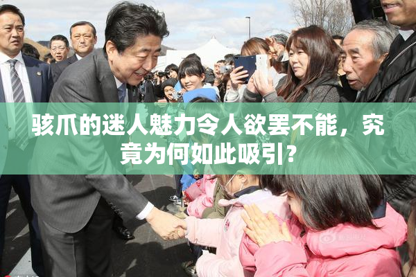 骇爪的迷人魅力令人欲罢不能，究竟为何如此吸引？