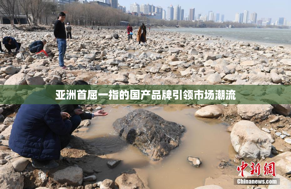 亚洲首屈一指的国产品牌引领市场潮流
