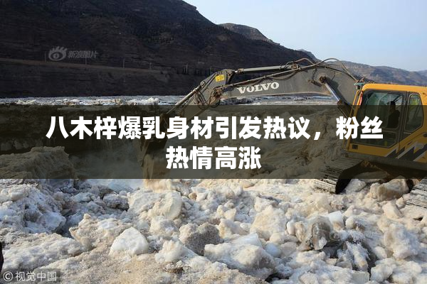 八木梓爆乳身材引发热议，粉丝热情高涨