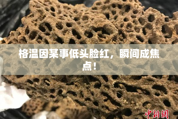 格温因某事低头脸红，瞬间成焦点！