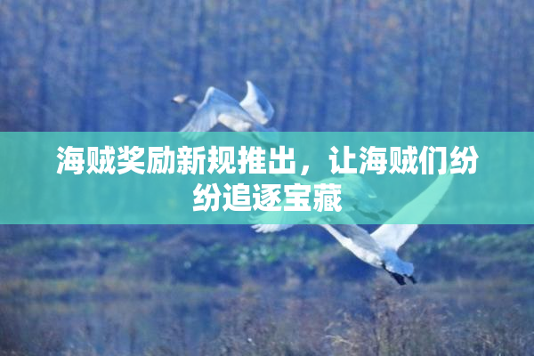 海贼奖励新规推出，让海贼们纷纷追逐宝藏