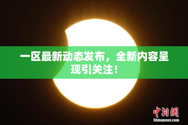 一区最新动态发布，全新内容呈现引关注！