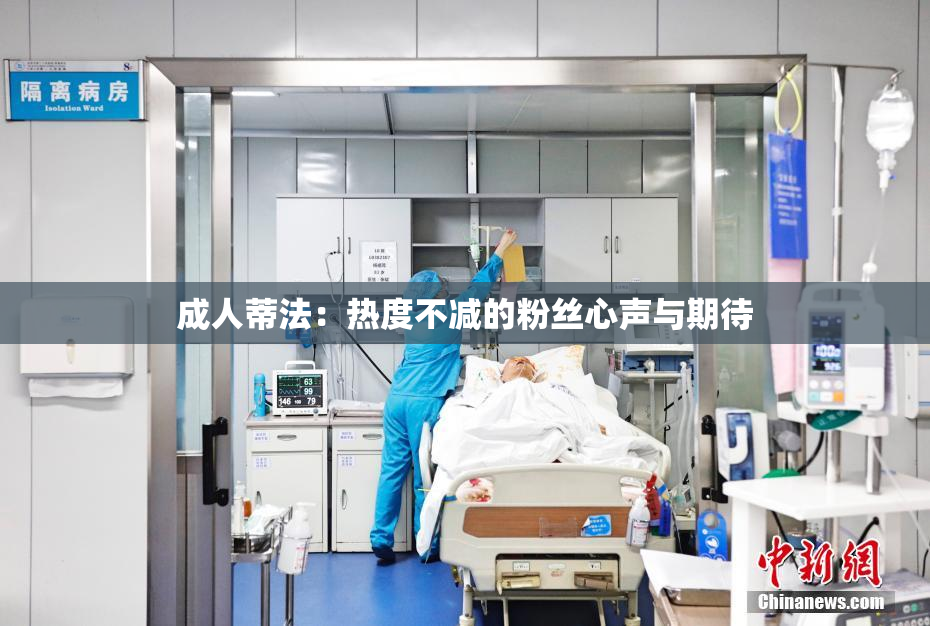 成人蒂法：热度不减的粉丝心声与期待