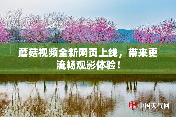 蘑菇视频全新网页上线，带来更流畅观影体验！
