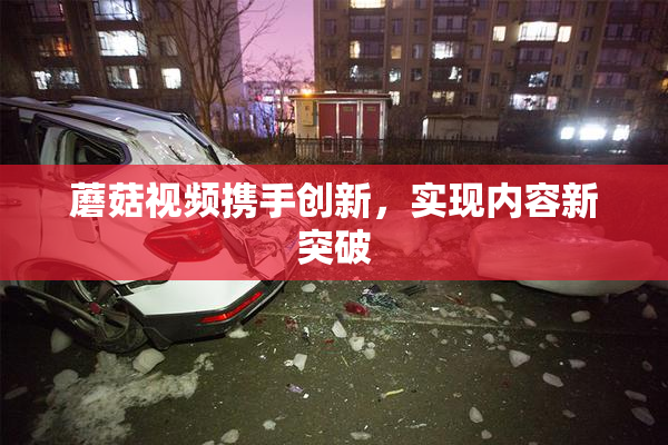 蘑菇视频携手创新，实现内容新突破