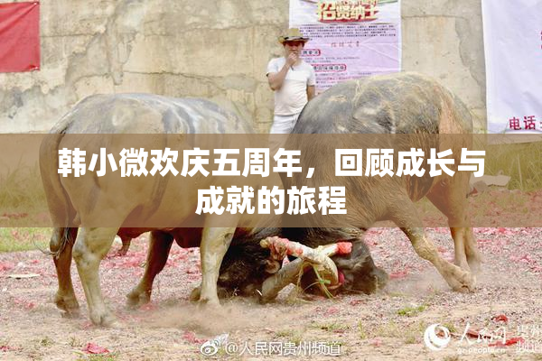 韩小微欢庆五周年，回顾成长与成就的旅程
