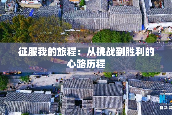 征服我的旅程：从挑战到胜利的心路历程