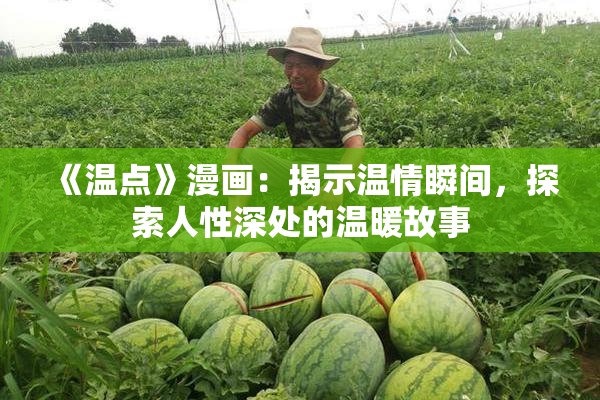 《温点》漫画：揭示温情瞬间，探索人性深处的温暖故事