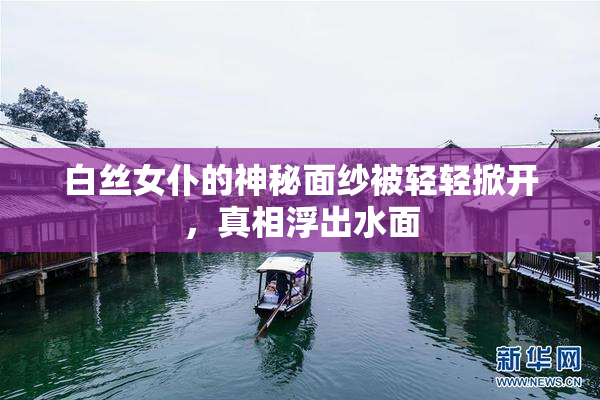 白丝女仆的神秘面纱被轻轻掀开，真相浮出水面