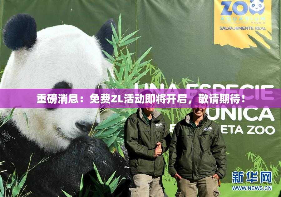 重磅消息：免费ZL活动即将开启，敬请期待！