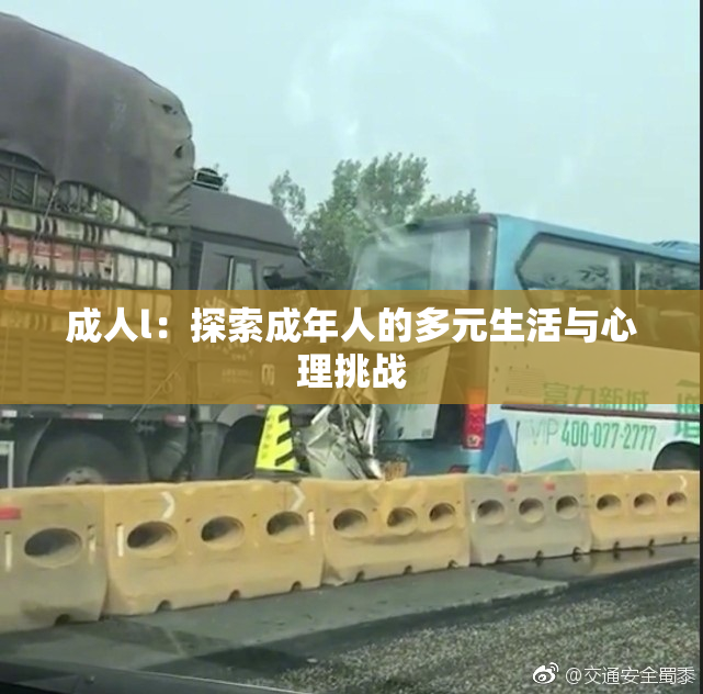 成人l：探索成年人的多元生活与心理挑战