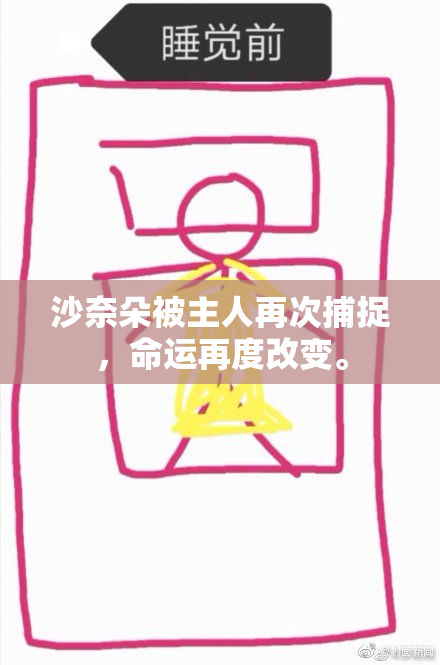 沙奈朵被主人再次捕捉，命运再度改变。