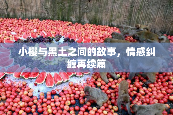 小樱与黑土之间的故事，情感纠缠再续篇