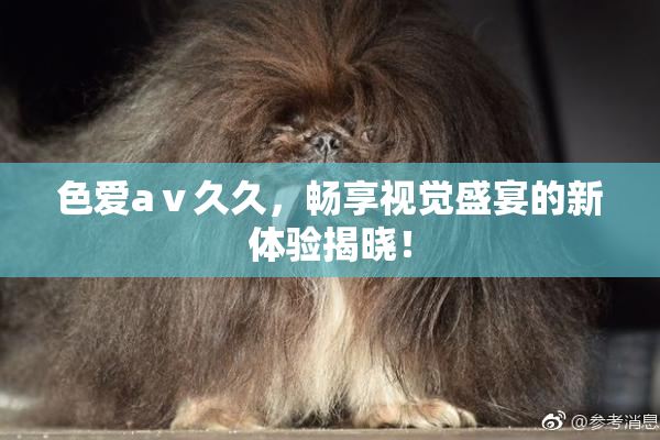 色爱aⅴ久久，畅享视觉盛宴的新体验揭晓！