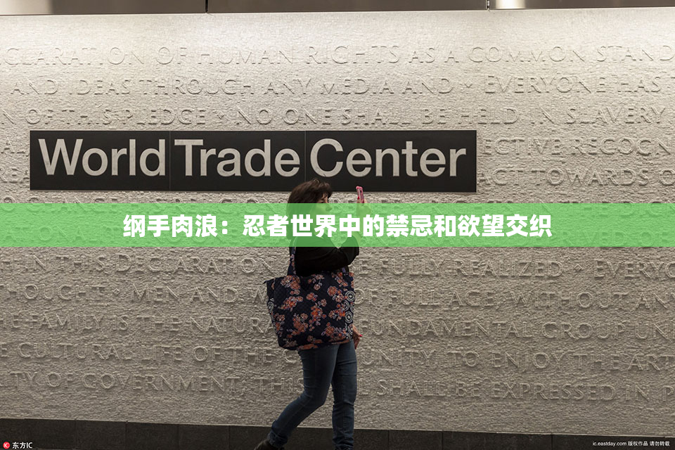 纲手肉浪：忍者世界中的禁忌和欲望交织