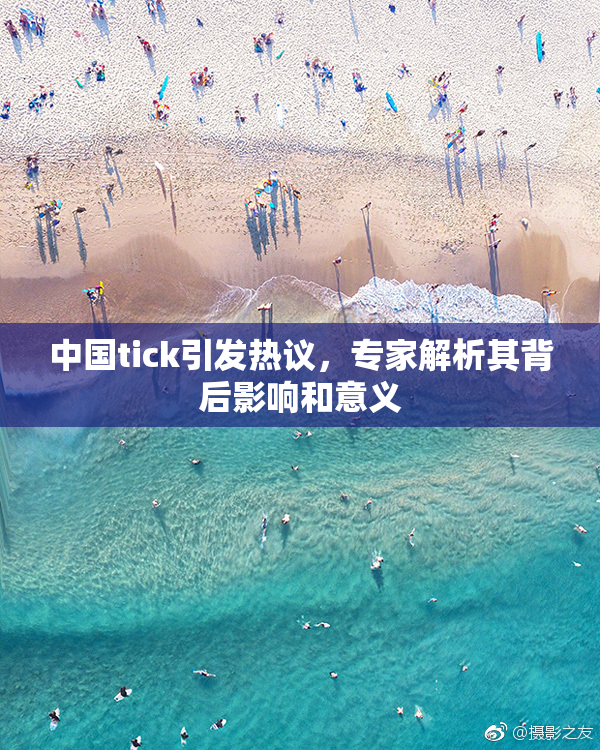 中国tick引发热议，专家解析其背后影响和意义