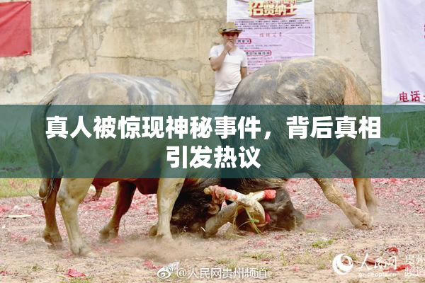 真人被惊现神秘事件，背后真相引发热议