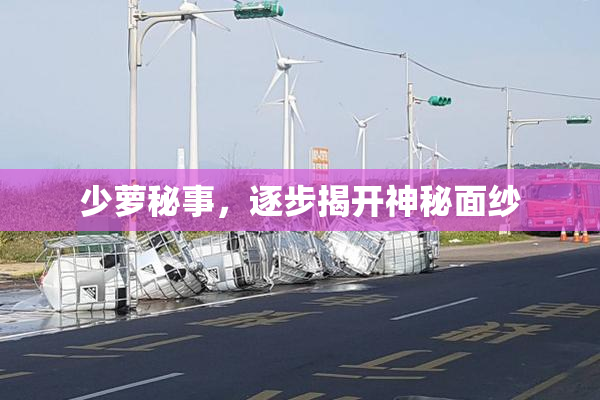 少萝秘事，逐步揭开神秘面纱