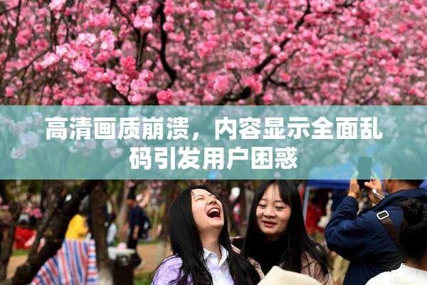 高清画质崩溃，内容显示全面乱码引发用户困惑