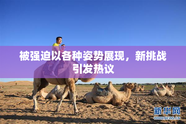 被强迫以各种姿势展现，新挑战引发热议