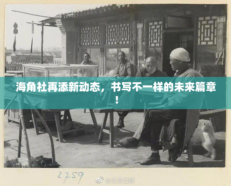 海角社再添新动态，书写不一样的未来篇章！
