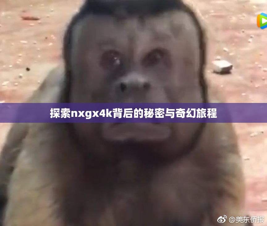 探索nxgx4k背后的秘密与奇幻旅程