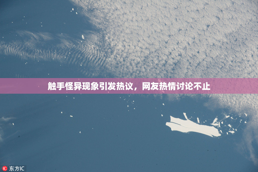 触手怪异现象引发热议，网友热情讨论不止