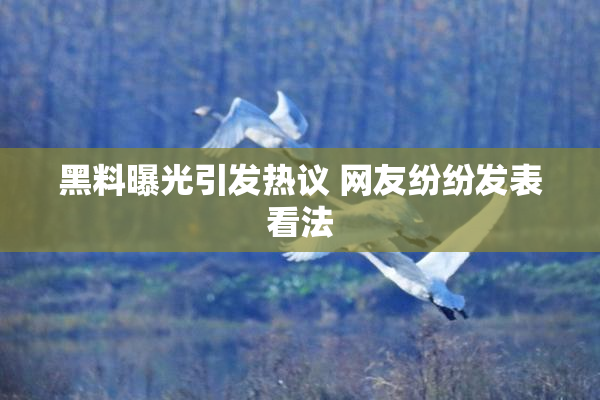 黑料曝光引发热议 网友纷纷发表看法