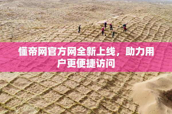 懂帝网官方网全新上线，助力用户更便捷访问