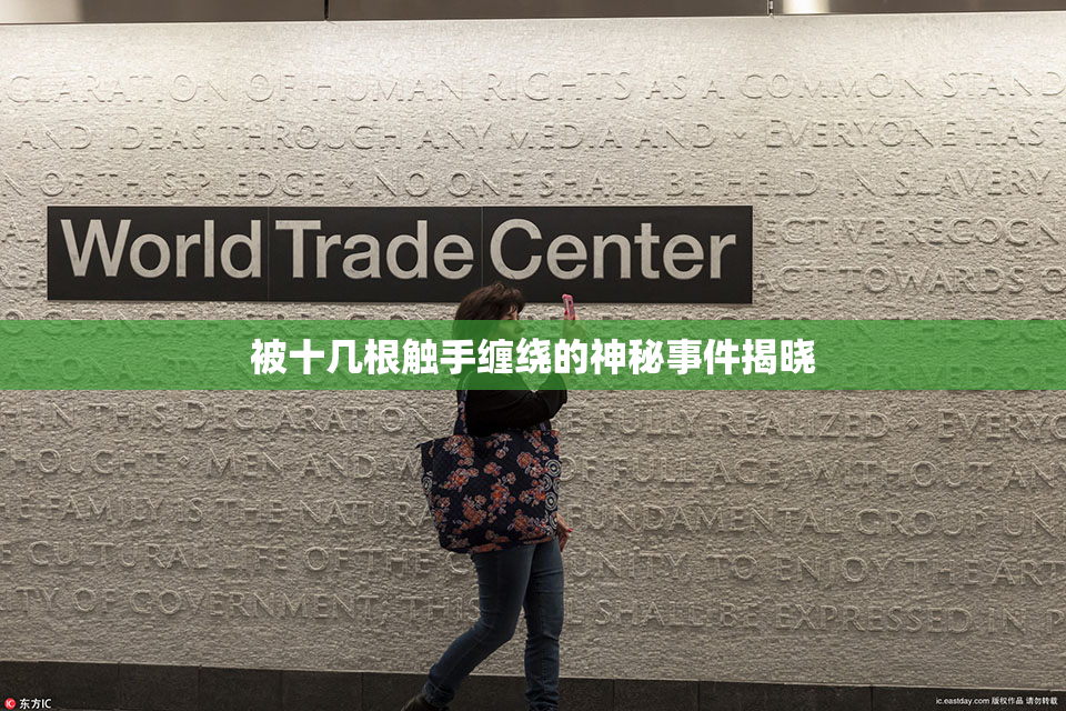被十几根触手缠绕的神秘事件揭晓