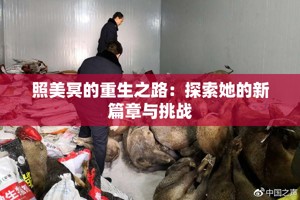 照美冥的重生之路：探索她的新篇章与挑战