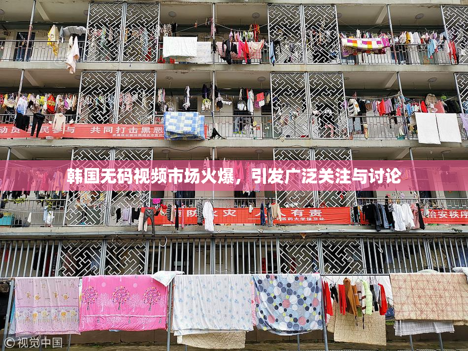 韩国无码视频市场火爆，引发广泛关注与讨论