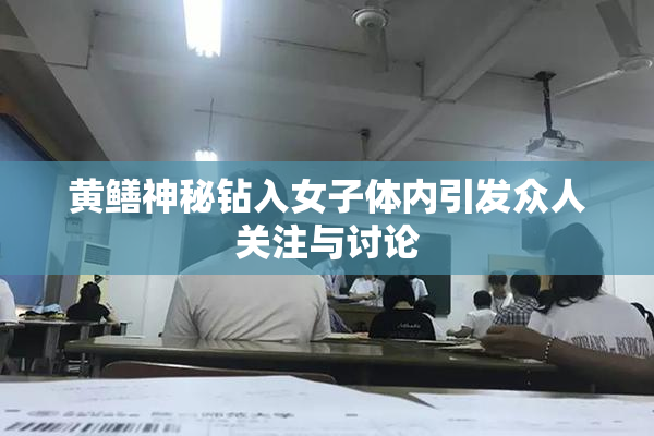 黄鳝神秘钻入女子体内引发众人关注与讨论