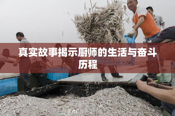 真实故事揭示厨师的生活与奋斗历程