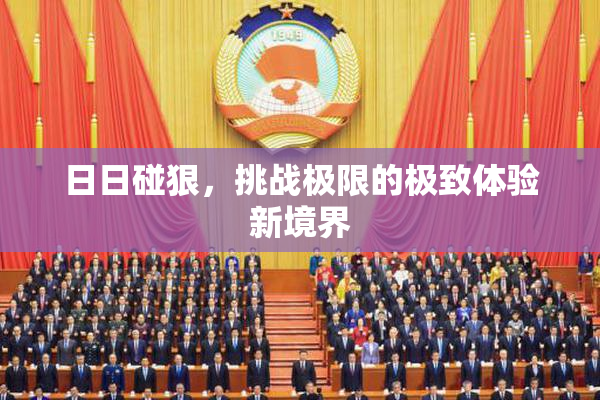 日日碰狠，挑战极限的极致体验新境界