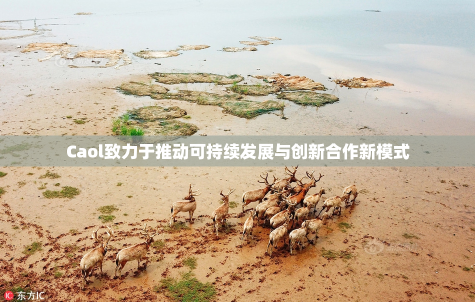 Caol致力于推动可持续发展与创新合作新模式