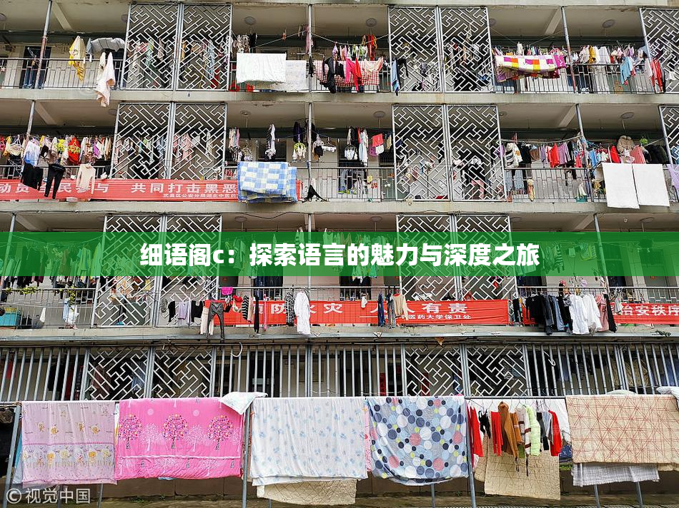 细语阁c：探索语言的魅力与深度之旅