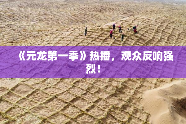 《元龙第一季》热播，观众反响强烈！