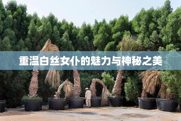 重温白丝女仆的魅力与神秘之美