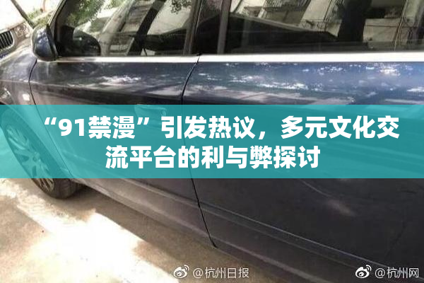 “91禁漫”引发热议，多元文化交流平台的利与弊探讨