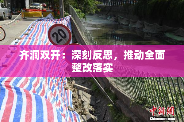 齐洞双开：深刻反思，推动全面整改落实