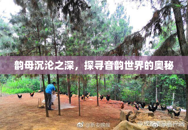 韵母沉沦之深，探寻音韵世界的奥秘