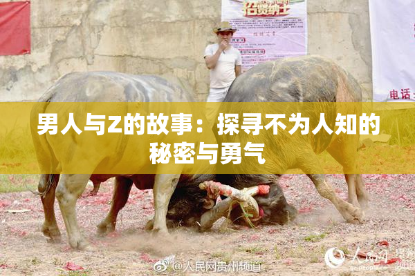 男人与Z的故事：探寻不为人知的秘密与勇气